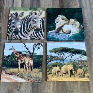 Safari Animal Wall Hangings Zebras Lions Giraffes Elephants 12 x 12‎
